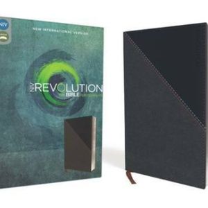 NIV Revolution Bible The Bible for Teen Guys, Gray